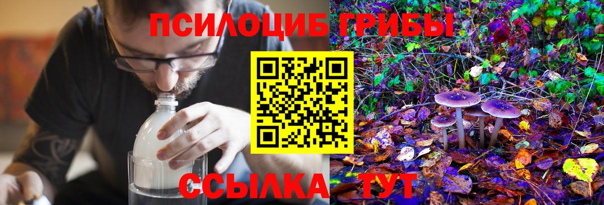 Кунгур  Галлюциногенные грибы Cubensis  Псилоцибиновые грибы Magic Shrooms  Вход с VPN 